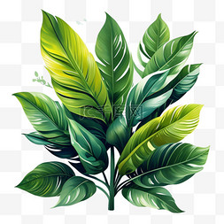 华丽绽放艺术字图片_绿植热带芭蕉叶雨林植物元素