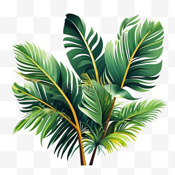 雨林茶庄图片_绿植热带芭蕉叶雨林植物免抠图片