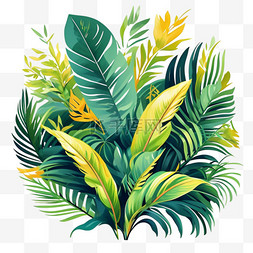 绿植热带芭蕉叶雨林植物免抠元素