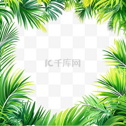 绿叶边框夏日热带植物椰子树设计