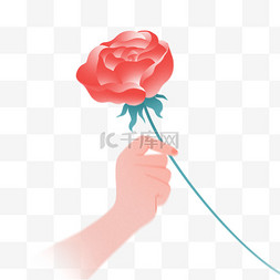 康乃馨玫瑰图片_情人节三八妇女节弥散风手拿花朵