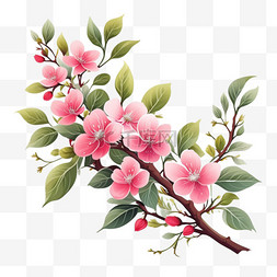 桃花的图片_树枝上盛开的粉色小花PNG素材