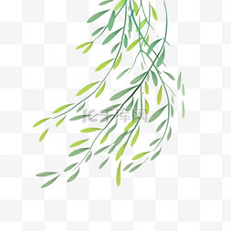 装饰图案叶子绿色图片_春天柳树装饰图案免抠元素