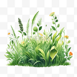 绿色系草丛花朵元素