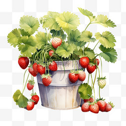 创意立体盆栽图片_创意草莓盆栽元素立体免抠图案