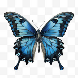 创意蓝色蝴蝶元素立体免抠图案