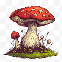 植物卡通描边图片_植物蘑菇卡通手绘元素春天