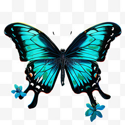 免抠png蝴蝶图片_3d蓝色蝴蝶元素立体免抠图案