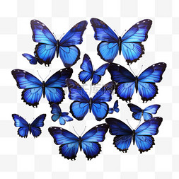 矢量蓝色蝴蝶元素立体免抠图案