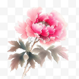 绽放的水彩花图片_春天绽放的牡丹花免抠手绘元素