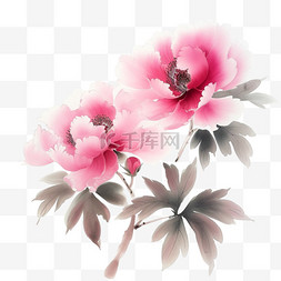 粉色极简背景图片_春天绽放的手绘牡丹花免抠元素