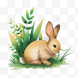 免抠春天植物小兔卡通手绘元素