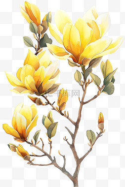 郁金香花黄色植物免抠春天元素
