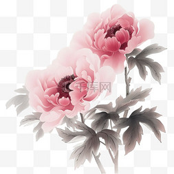 粉色极简背景图片_绽放的牡丹花手绘免抠元素春天