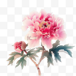 绽放的水彩花图片_手绘春天绽放的牡丹花免抠元素