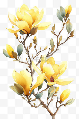 郁金香花从图片_郁金香花春天免抠黄色植物元素