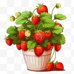 装饰草莓盆栽元素立体免抠图案