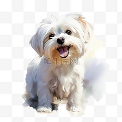 可爱白色小狗图片_图形可爱白色小狗元素立体免抠图