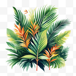 热带植物手绘叶子图片_手绘热带植物元素插画