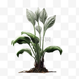 植物合成图片_合成各样植物元素立体免抠图案