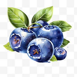 小清新水果之蓝色蓝莓元素