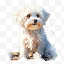 可爱白色小狗图片_素材可爱白色小狗元素立体免抠图