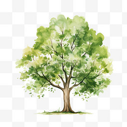 AICG茂密树木元素立体免抠图案