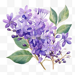 卡通紫色花朵元素立体免抠图案