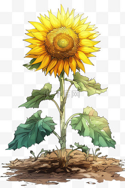 动漫游戏背景图片_植物向日葵元素手绘免抠