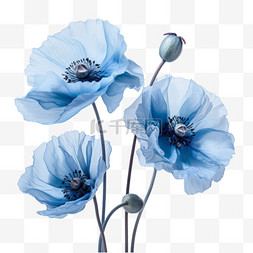 青蓝缤纷花朵元素立体免抠图案