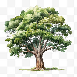 造型茂密树木元素立体免抠图案
