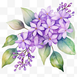 质感紫色图片_质感紫色花朵元素立体免抠图案