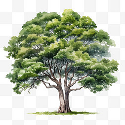 3d茂密树木元素立体免抠图案