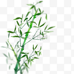 竹子手绘图片_国风手绘绿色竹子免抠图片