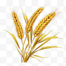 创意小麦粮食元素立体免抠图案