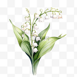 铃兰图案图片_造型铃兰花枝元素立体免抠图案