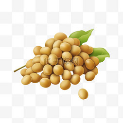 黄豆植物元素立体免抠图案矢量