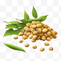 黄豆植物元素立体免抠图案ai
