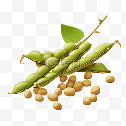 黄豆植物元素立体免抠图案几何