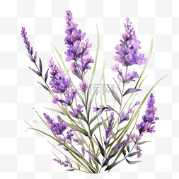 紫色薰衣草元素立体免抠图案写实