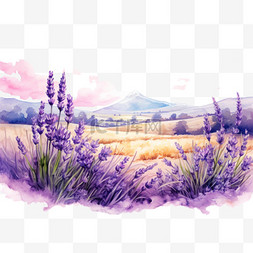 紫色薰衣草元素立体免抠图案质感