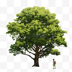 绿色大树元素立体免抠图案矢量