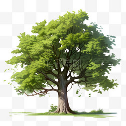 绿色大树元素立体免抠图案AICG