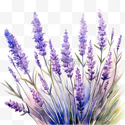 紫色薰衣草元素立体免抠图案素材