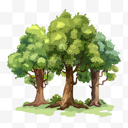茂密的大树图片_元素植树节几颗大树卡通手绘
