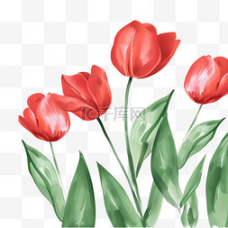 手绘春天红色花朵图片_春天花朵免抠郁金香手绘元素
