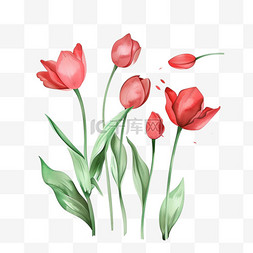 手绘春天红色花朵图片_花朵春天郁金香手绘免抠元素