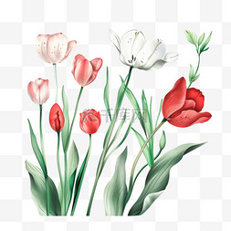 手绘春天红色花朵图片_春天免抠元素花朵郁金香手绘