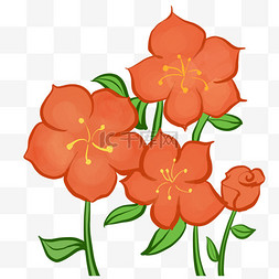 花朵橙色图片_春天花朵装饰图案橙色素材