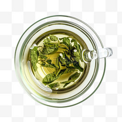 透明茶杯图片_免抠茶叶一杯茶元素摄影图